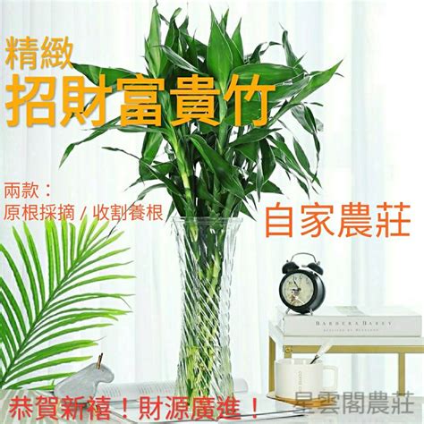 風水植物 擋煞|【什麼植物可以擋煞】擋煞招財！10大最強「植物風水。